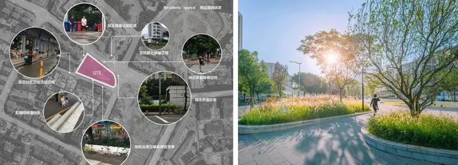 雷竞技【RAYBET】的APP景观设计的本质是什么？ 上知乎 问奥雅(图12)