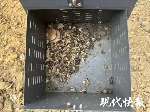RAYBET(雷竞技)诱杀大量害虫！苏州多个公园装上新型景观灯(图2)