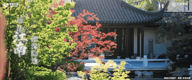 美！四季皆景天津这个景点表现突出！公园湖岸低密墅区成为置业首选(图11)